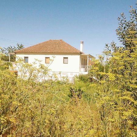 Sunnyside Home Chaves Exteriör bild