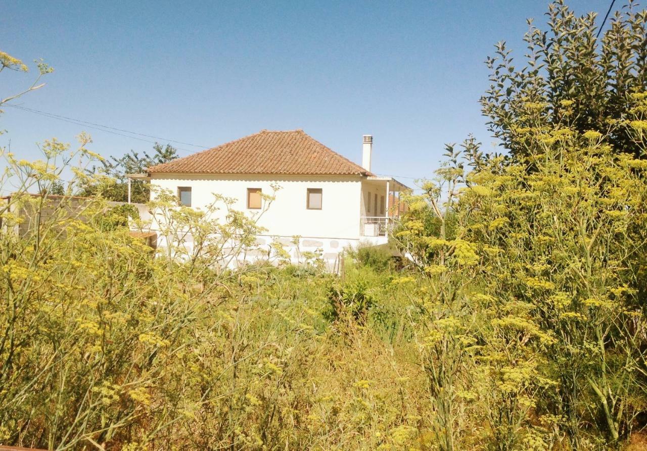 Sunnyside Home Chaves Exteriör bild